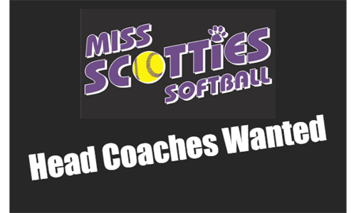 Head Travel Coaches Wanted 